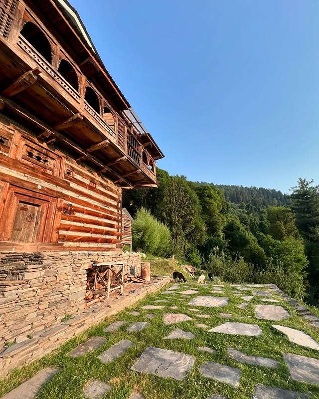 20250225193716 instagram