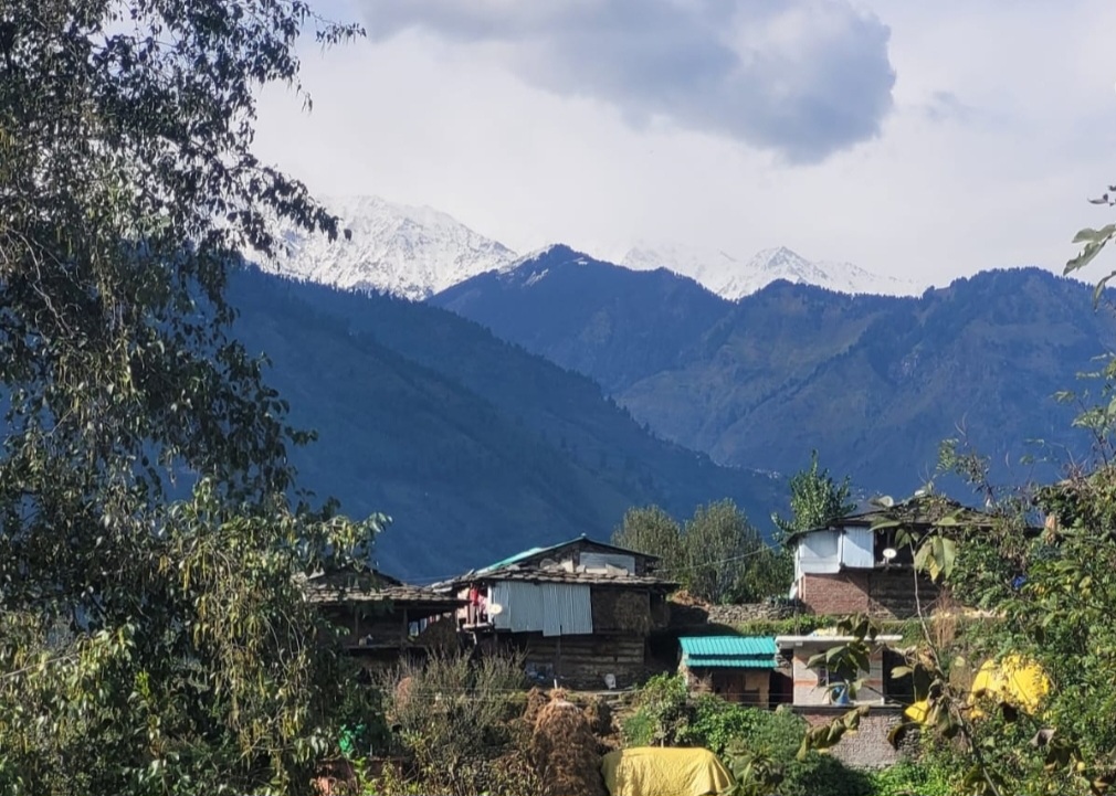 Inbound4357692979576800078