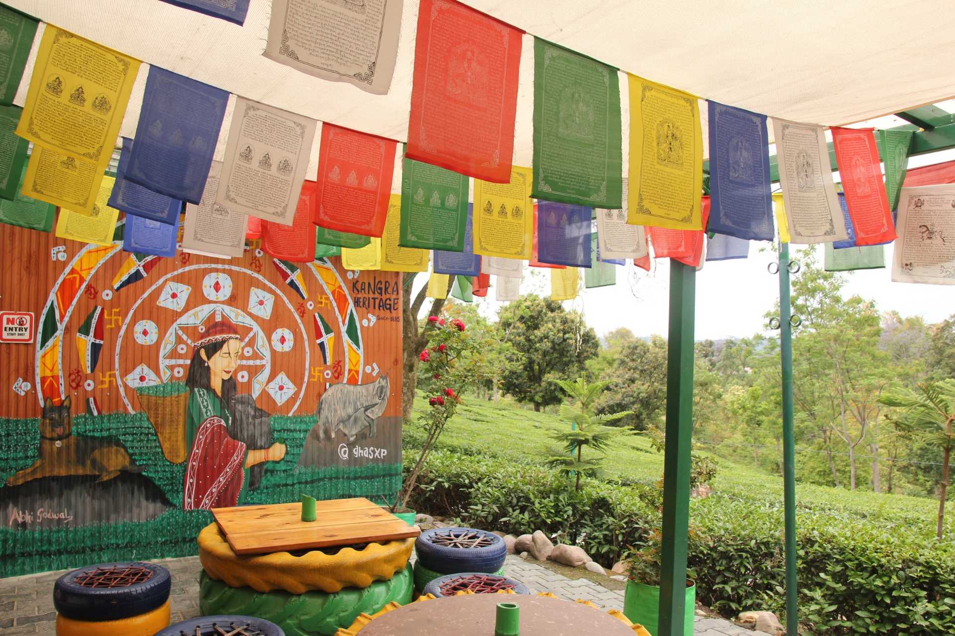 Compressed GHASXP Best Cafe in Palampur Best Place in Palampur 12